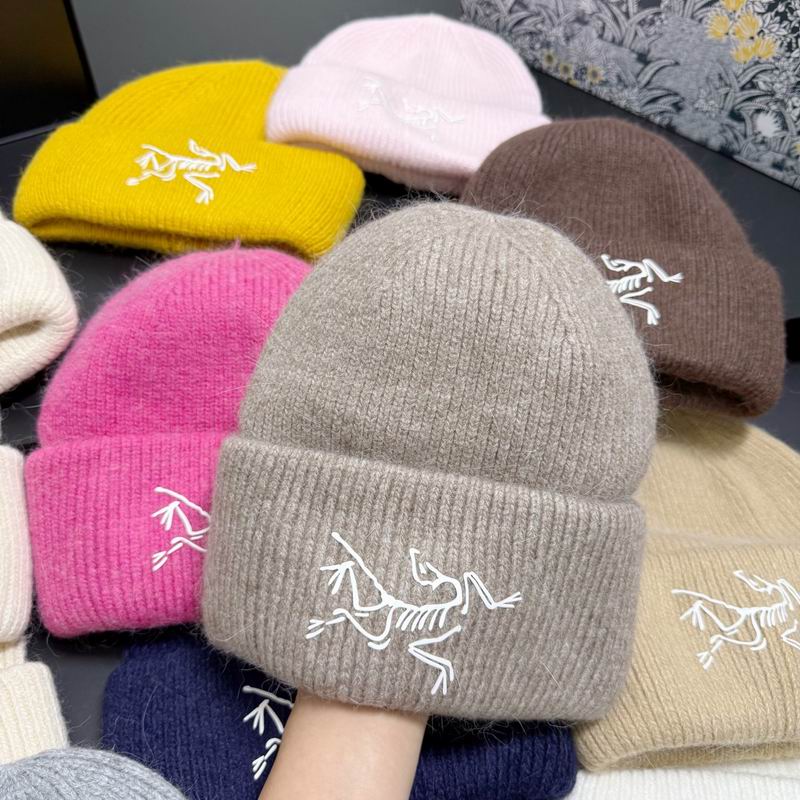 Arcteryx hat dx (308)