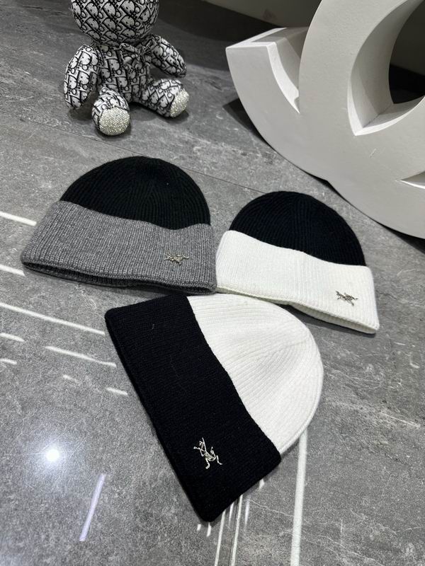 Arcteryx hat dx (343)