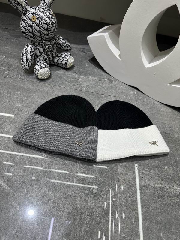 Arcteryx hat dx (344)