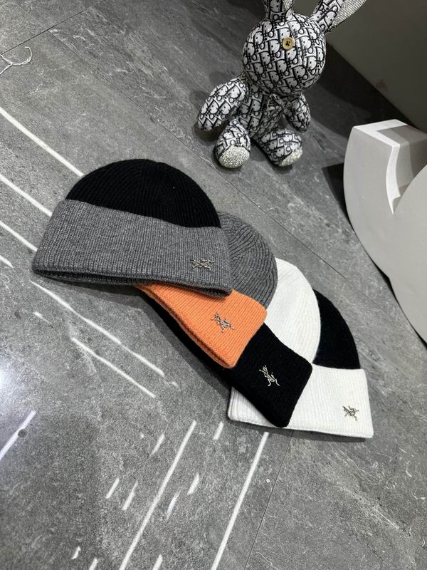 Arcteryx hat dx (345)