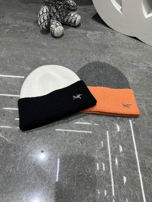 Arcteryx hat dx (346)