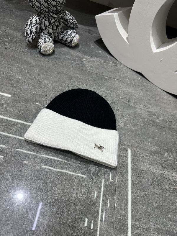 Arcteryx hat dx (347)