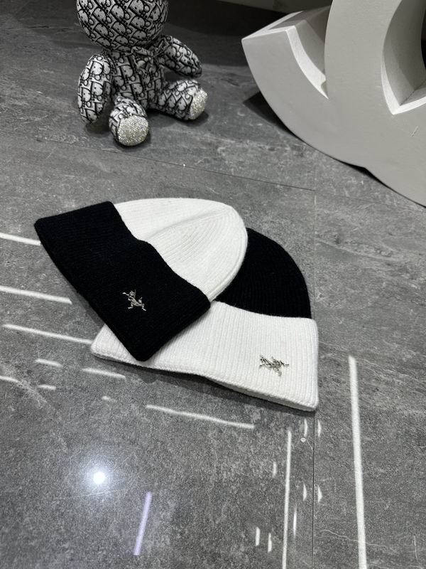 Arcteryx hat dx (348)