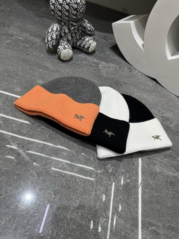 Arcteryx hat dx (349)