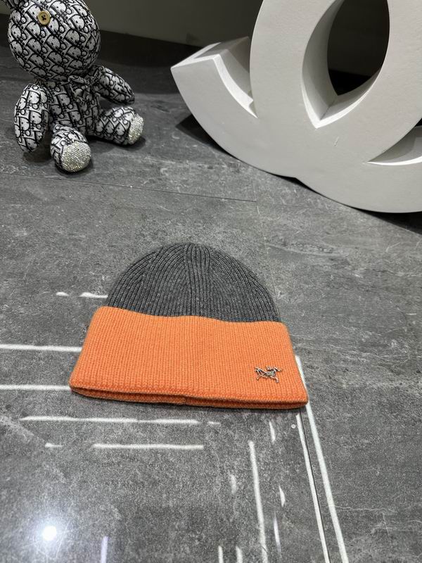 Arcteryx hat dx (350)