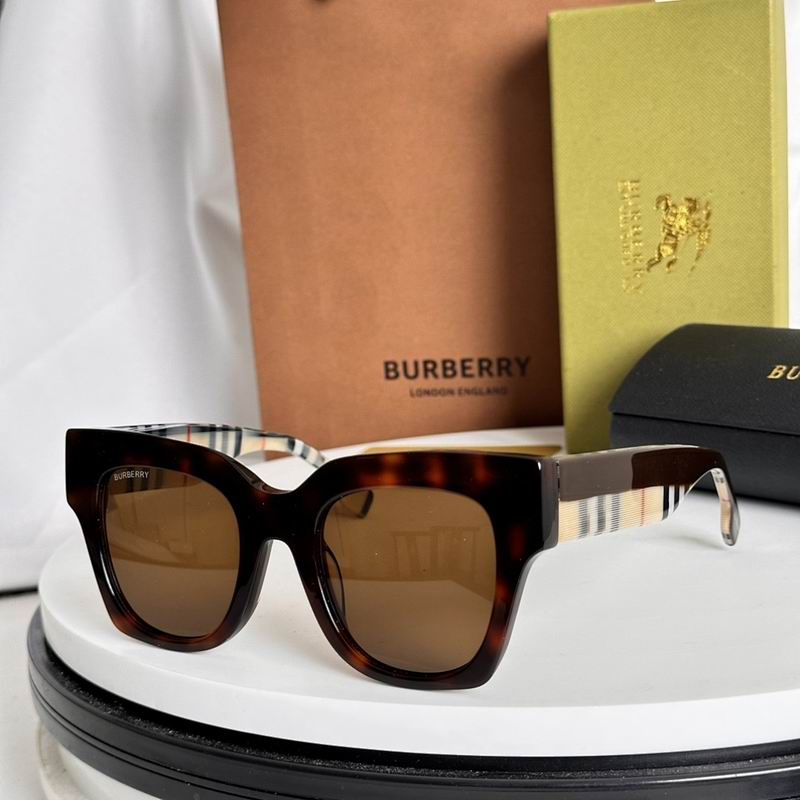 Burberry Glasses smr (103)
