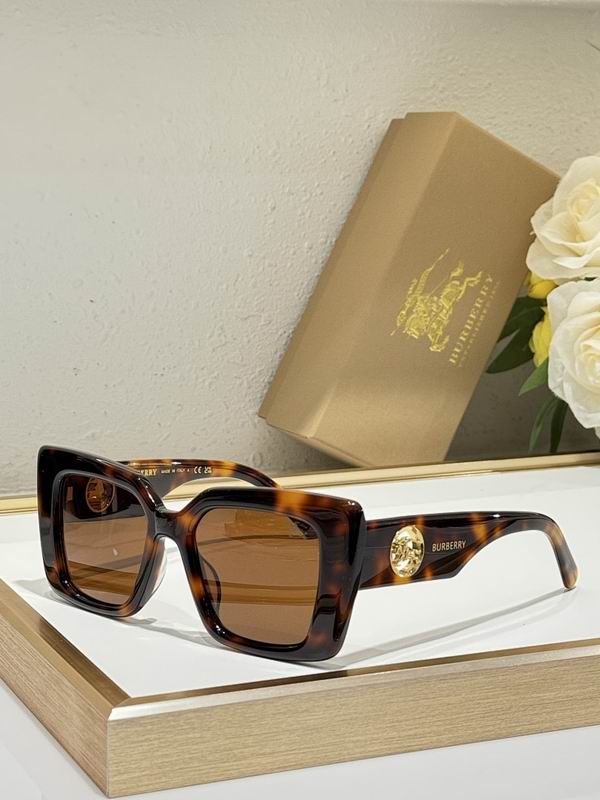 Burberry Glasses smr (133)
