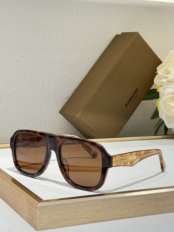 Burberry Glasses smr (147)