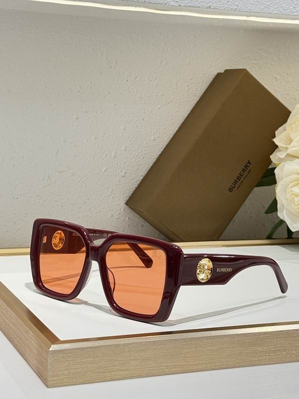 Burberry Glasses smr (151)