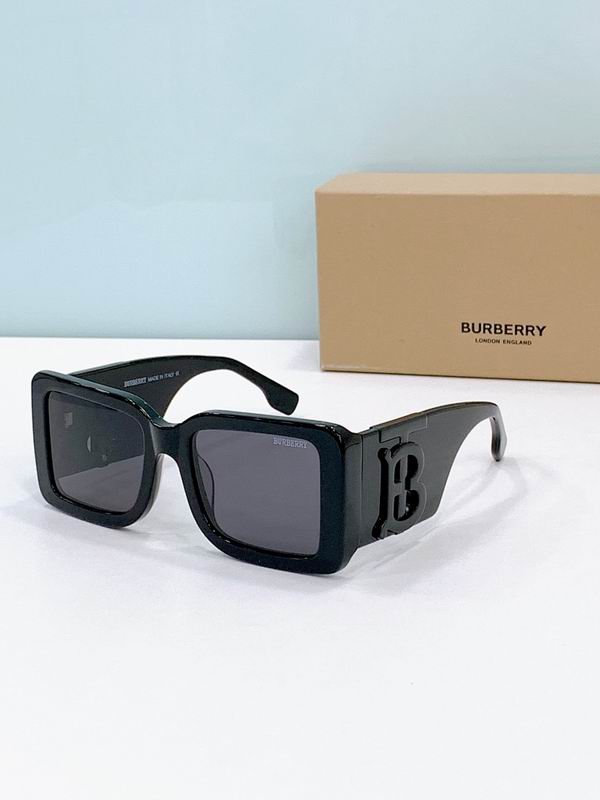 Burberry Glasses smr (221)