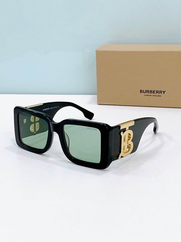 Burberry Glasses smr (225)