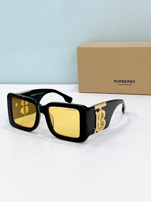 Burberry Glasses smr (227)