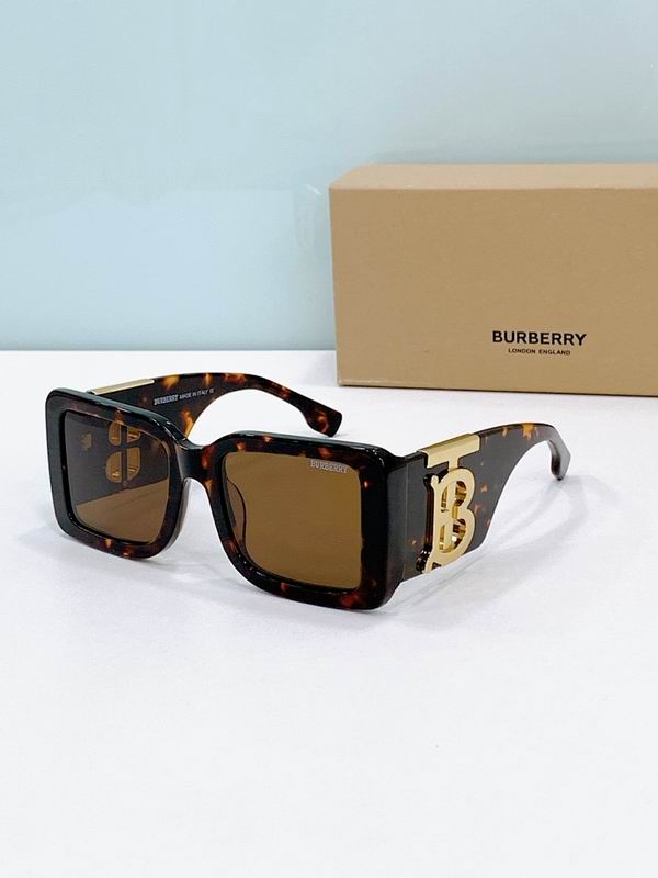 Burberry Glasses smr (228)