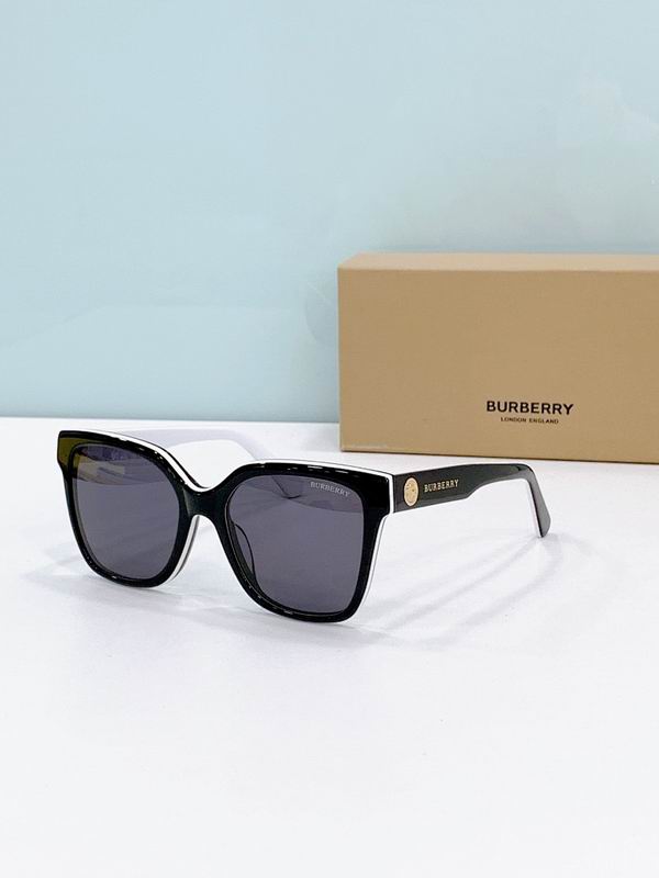 Burberry Glasses smr (246)