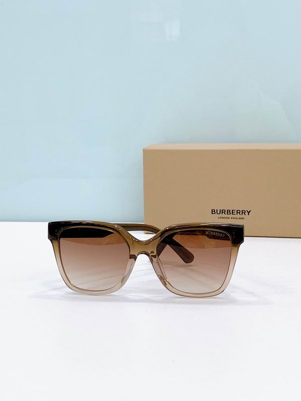 Burberry Glasses smr (251)