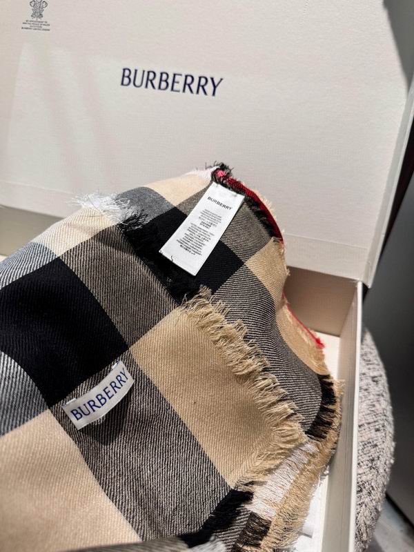 Burberry Scarf 100X200cm E14 (6)