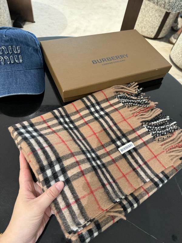 Burberry Scarf 155X30cm E03 (12)