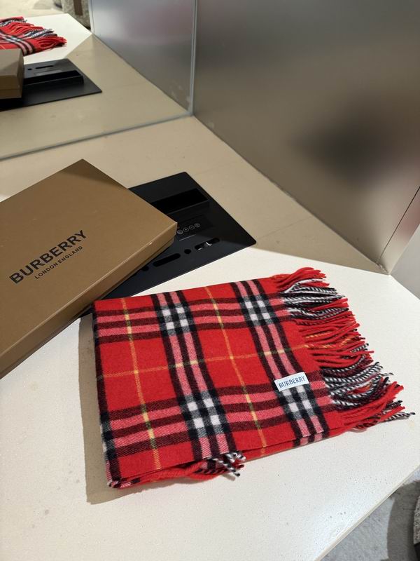 Burberry Scarf 155X30cm E03 (19)