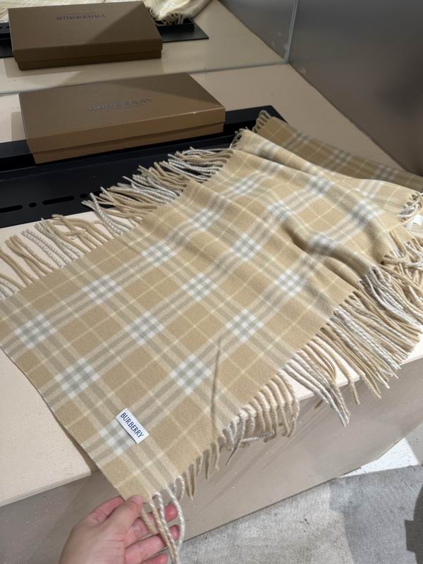 Burberry Scarf 155X30cm E03 (24)