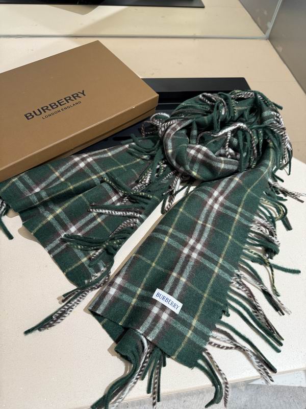 Burberry Scarf 155X30cm E03 (3)