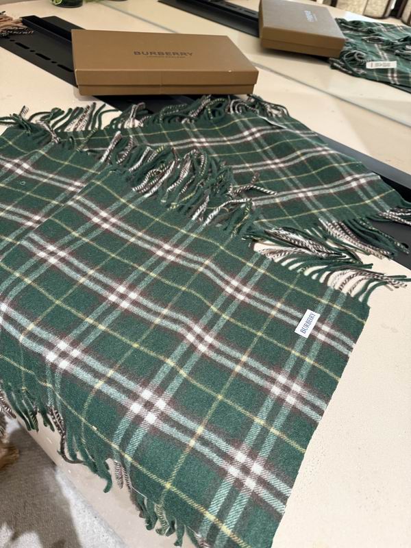 Burberry Scarf 155X30cm E03 (4)