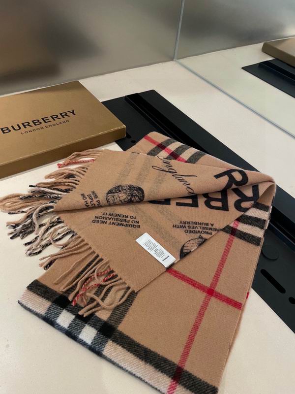 Burberry Scarf 32X192cm  100%山羊绒 E18 (6)