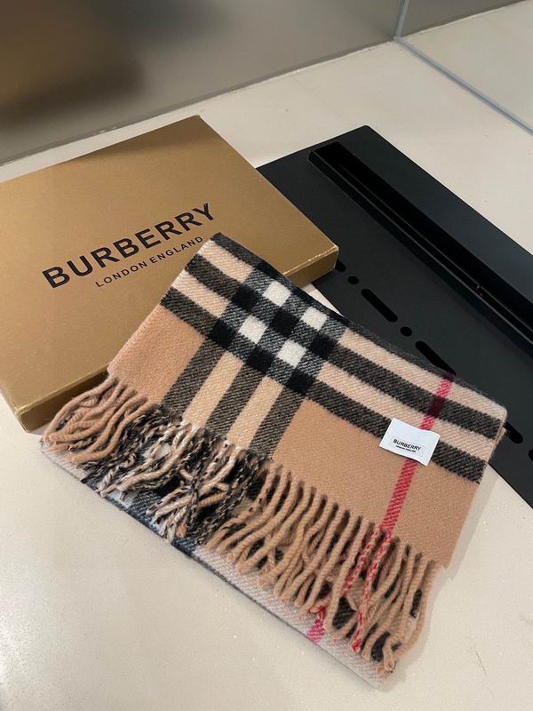 Burberry Scarf 32X192cm  100%山羊绒 E18 (7)