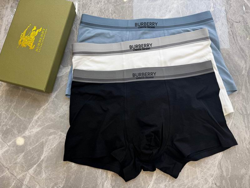 Burberry boxer L-4XL 03 (8)