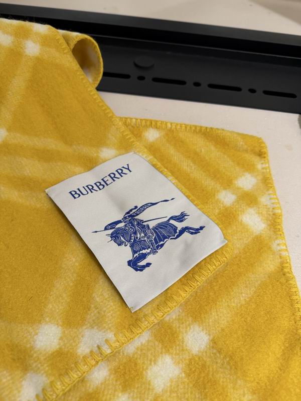 Burberry scarf 180X30cm E57 (10)