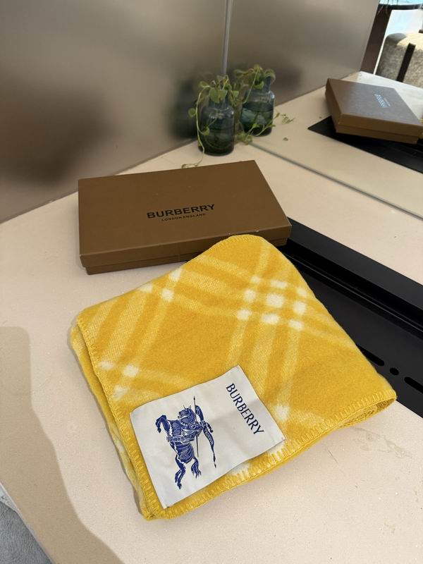 Burberry scarf 180X30cm E57 (14)