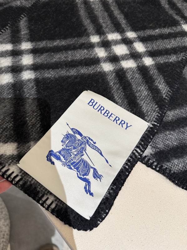 Burberry scarf 180X30cm E57 (2)