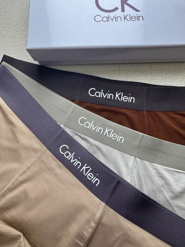 CK boxer L-4XL 18 (4)