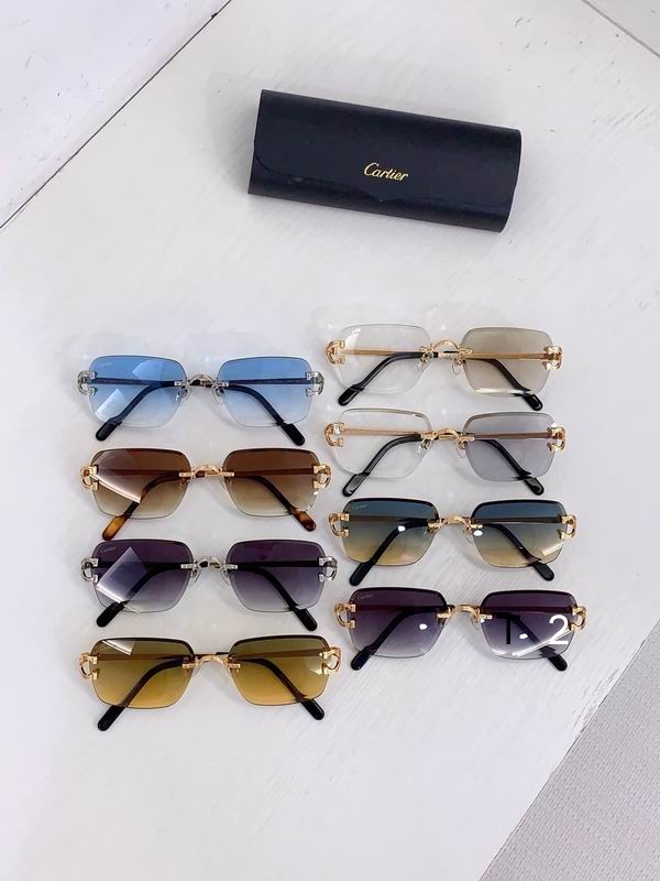 CT0766S 56 17-142 A09