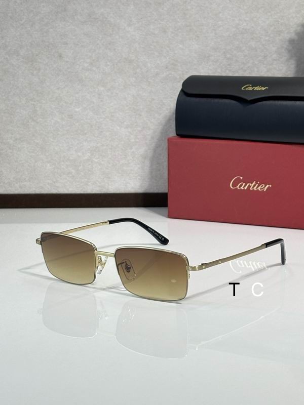 Cartier CT0574OA 56 18-145 c01