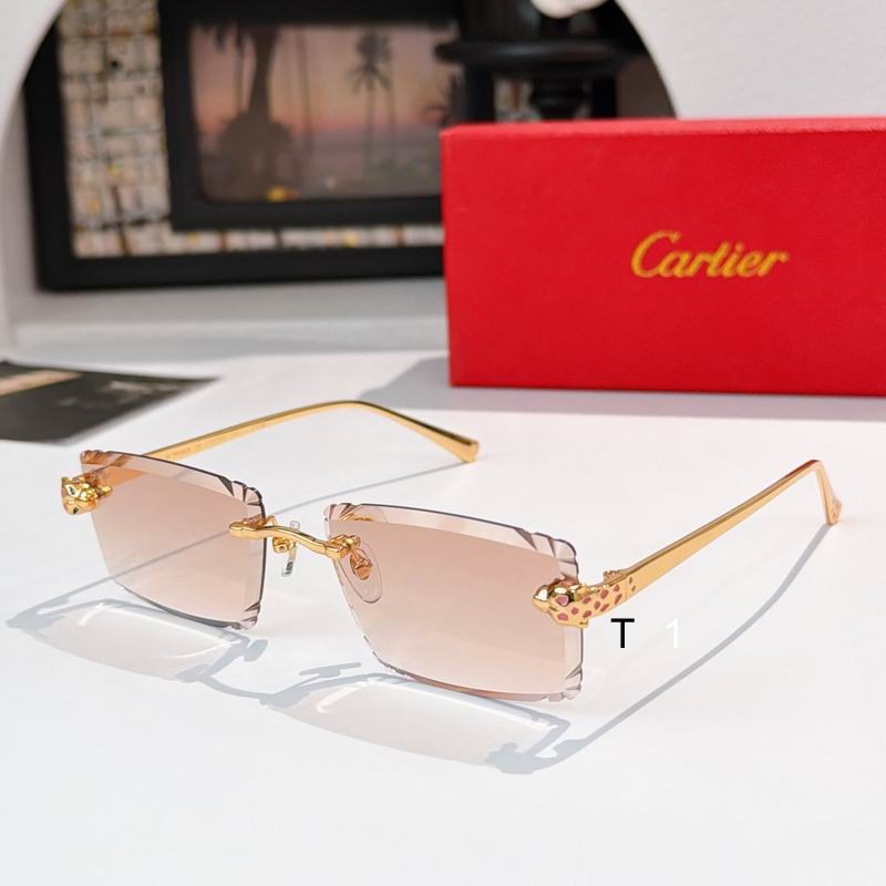 Cartier CT0783S 58 17-143 a04