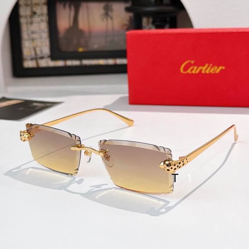 Cartier CT0783S 58 17-143 a05
