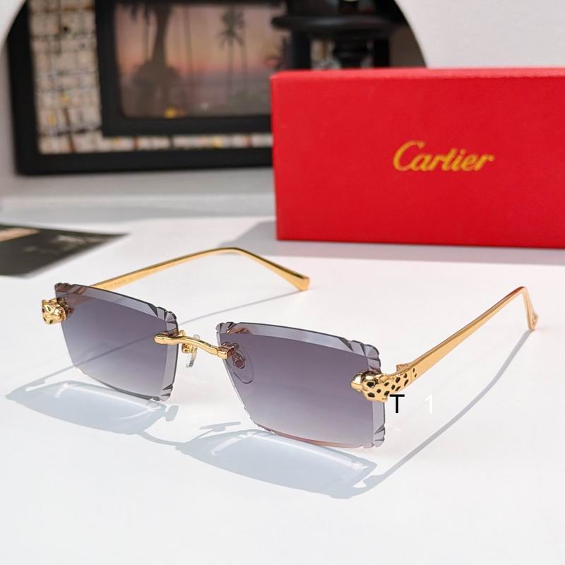 Cartier CT0783S 58 17-143 a06