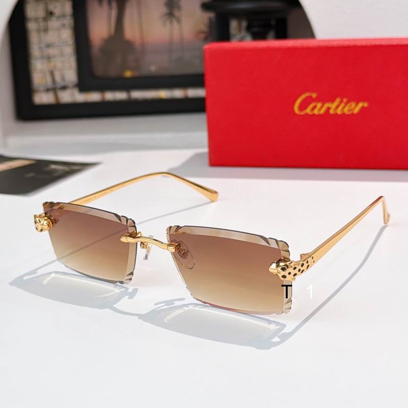 Cartier CT0783S 58 17-143 a08