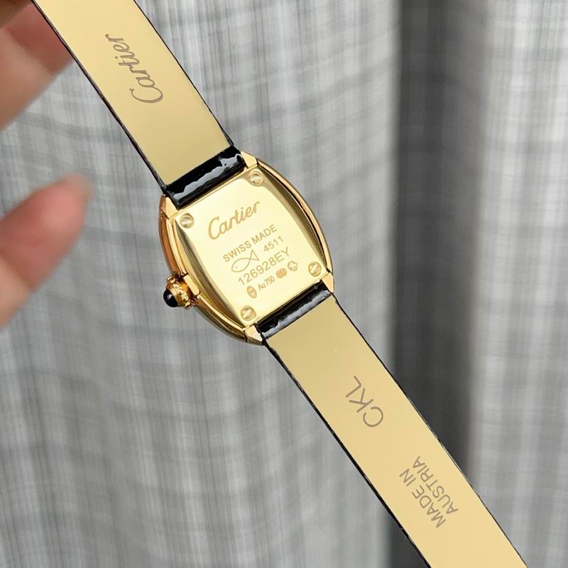 Cartier 18X24mm 97 (2)