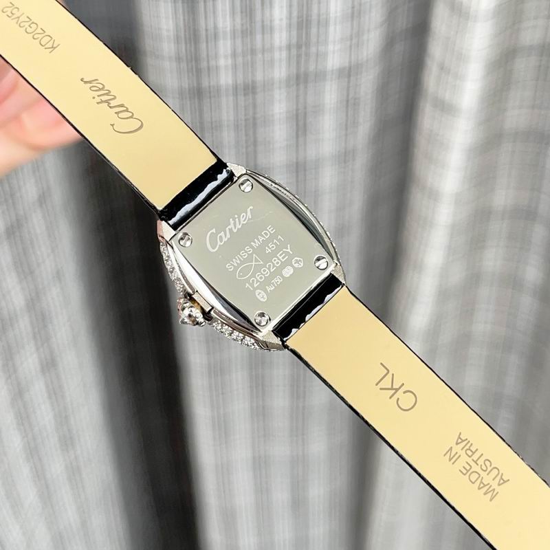 Cartier 18X24mm 98 (2)