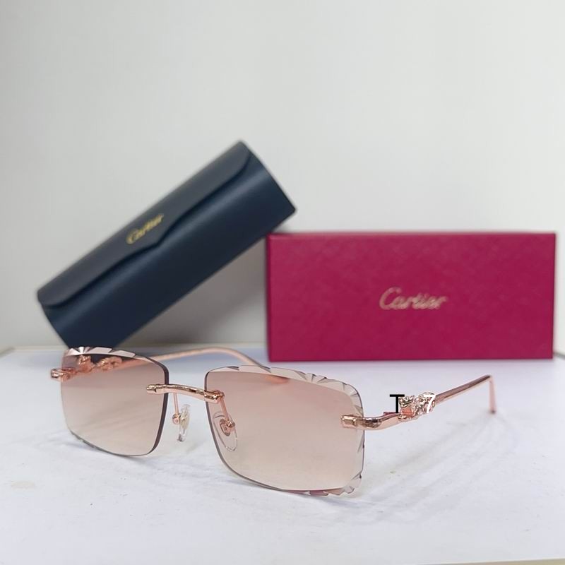 Cartier CT01592 57 17-142 G04