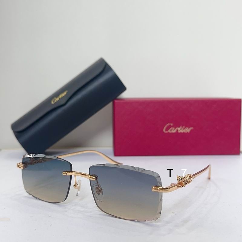 Cartier CT01592 57 17-142 G05