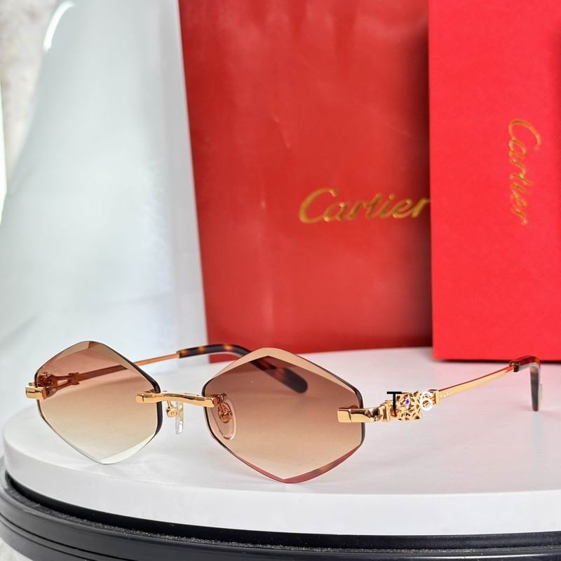 Cartier CT01839 56 18-145 e02