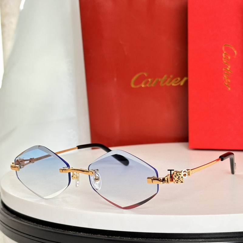 Cartier CT01839 56 18-145 e05