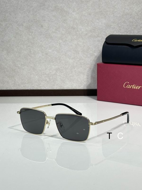 Cartier CT0320OA 145 c04
