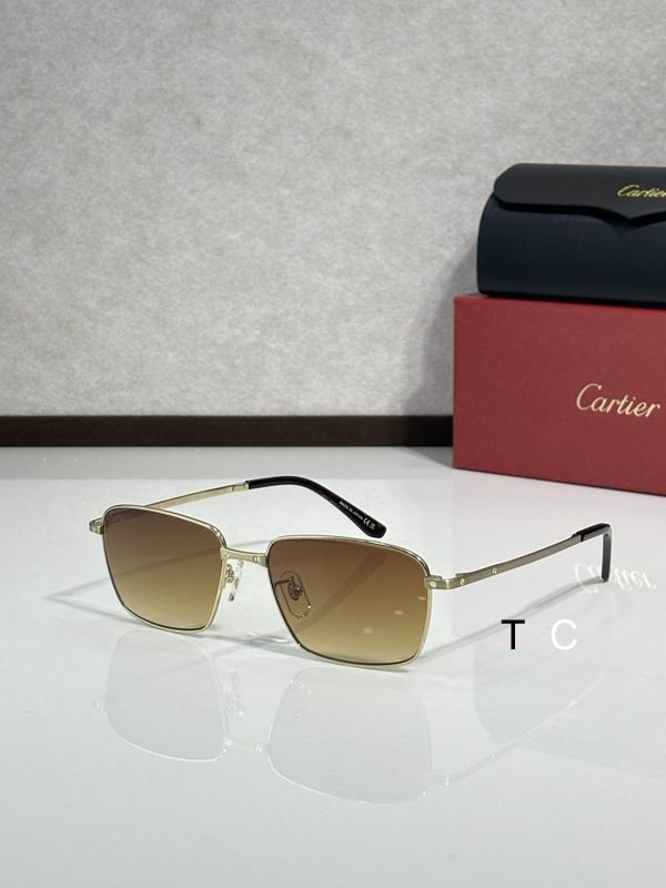 Cartier CT0320OA 145 c05