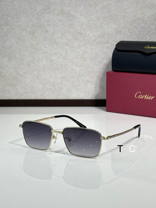 Cartier CT0320OA 145 c07