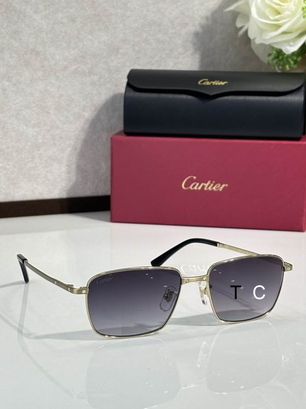 Cartier CT0320OA 145 c08