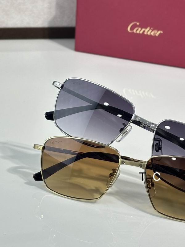 Cartier CT0320OA 145 c09