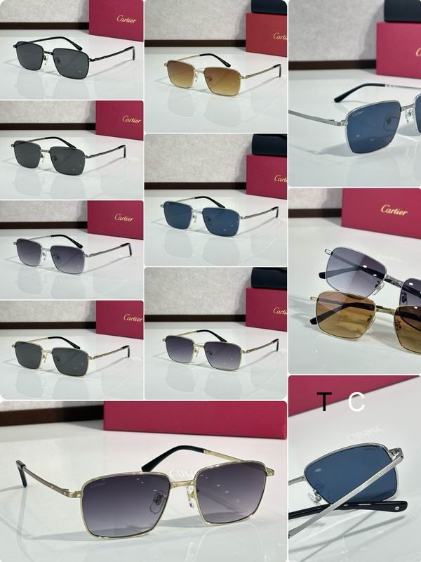 Cartier CT0320OA 145 c10